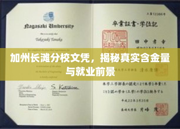 加州长滩分校文凭价值揭秘，就业前景与真实含金量大揭秘