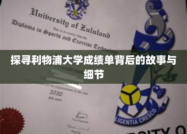 探寻利物浦大学成绩单背后的故事与细节