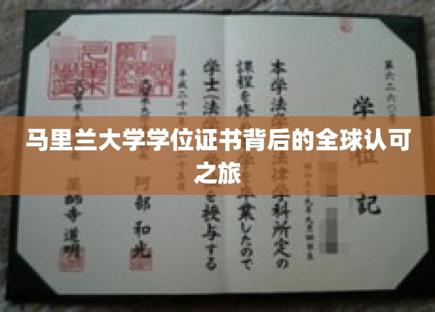 全球通行无阻，马里兰大学学位证书的全球认可传奇