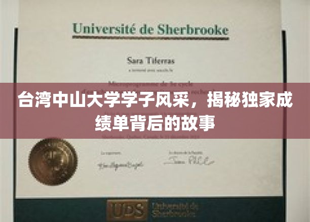 台湾中山大学学子风采，揭秘独家成绩单背后的故事
