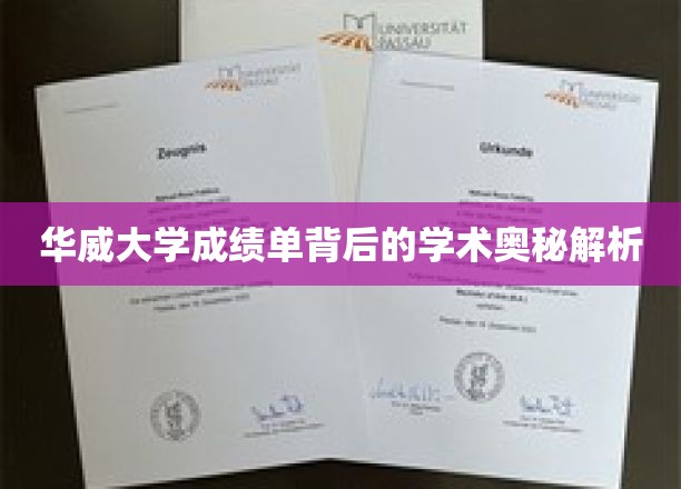 探秘华威大学成绩单，揭开学术卓越的秘密面纱