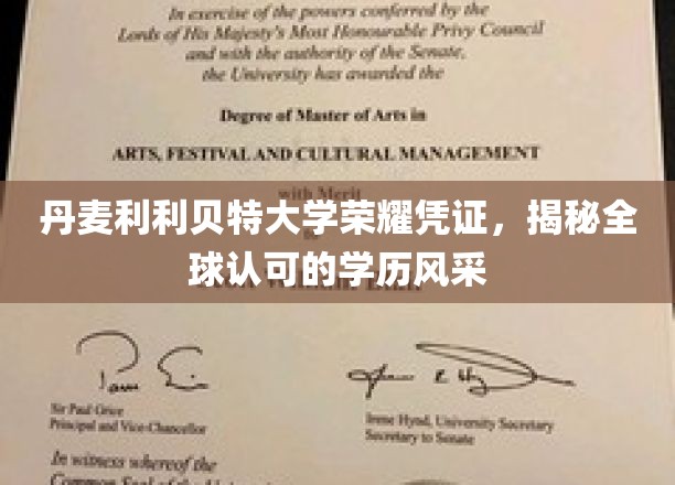 利利贝特荣耀，国际认可的丹麦学历风采全解析