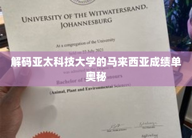 解码亚太科技大学的马来西亚成绩单奥秘