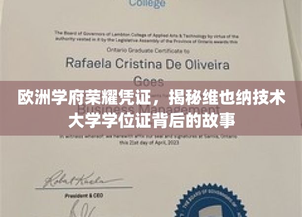 探寻维也纳技术大学学位证的欧洲荣耀之旅