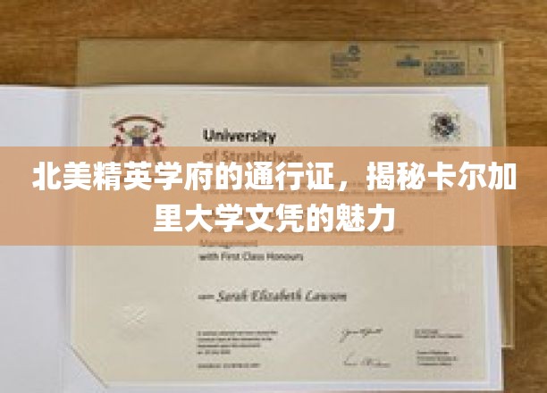 解锁北美顶级学府之门，卡尔加里大学文凭的非凡魅力