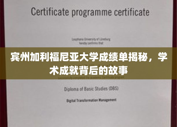 宾夕法尼亚大学成绩单揭秘，学术成就背后的故事