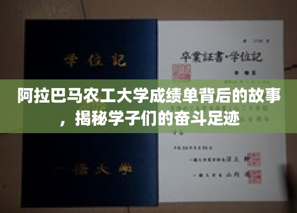 阿拉巴马农工大学成绩单背后的故事，揭示学子们的奋斗足迹