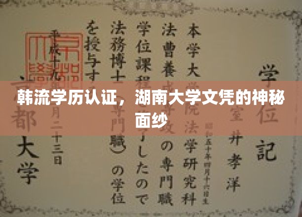 揭开韩流明星学历之谜，湖南大学文凭背后的神秘故事