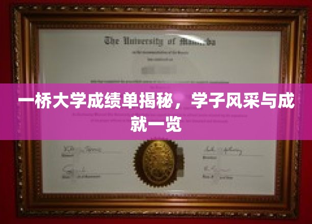 一桥大学精英风采，揭秘学子卓越成就与辉煌历程