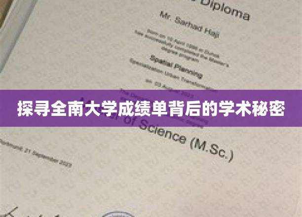解码全南大学成绩单，一窥学术实力的神秘面纱
