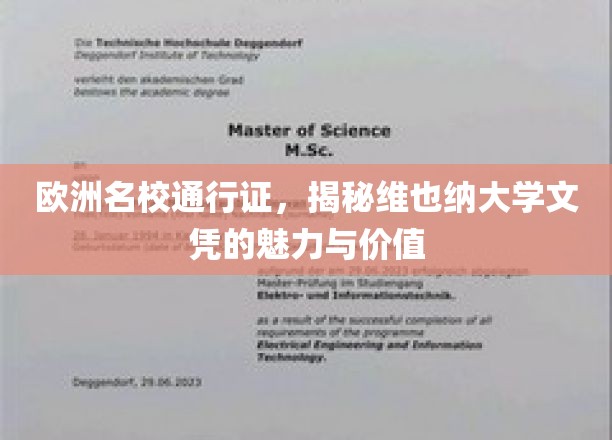欧洲精英学府通行证，维也纳大学文凭的非凡魅力与无限价值