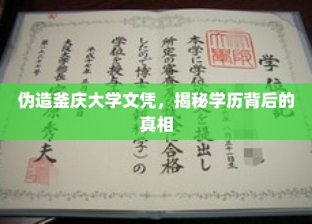 伪造釜山大学文凭，揭秘学历背后的真相