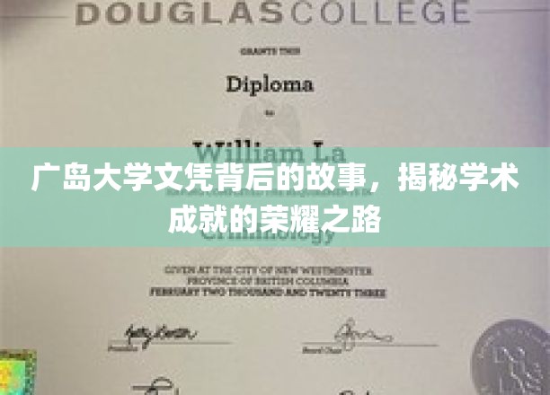 广岛大学文凭背后的故事，揭秘学术成就的荣耀之路