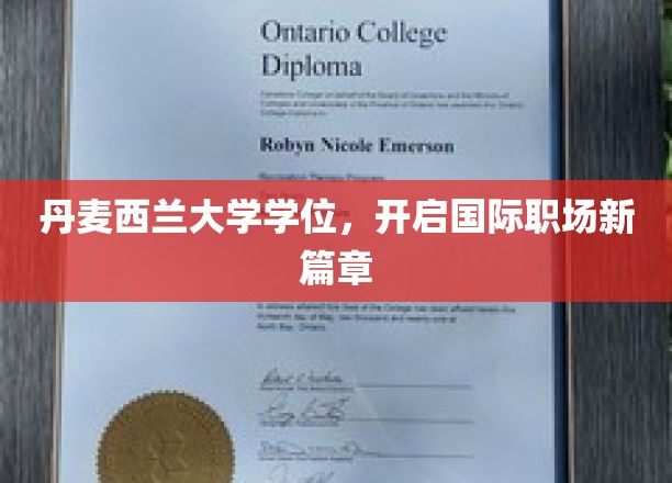 跨国职场通行证，丹麦西兰大学学位引领全球就业新纪元