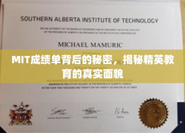 MIT成绩单背后的秘密：揭秘精英教育的真实面貌