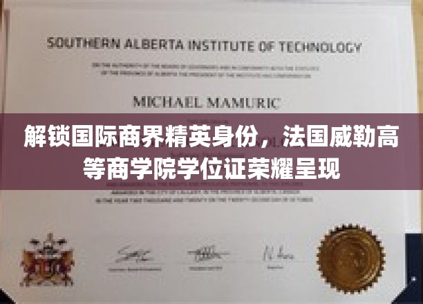商界精英新篇章，法国威勒高商学位荣耀映照全球视野
