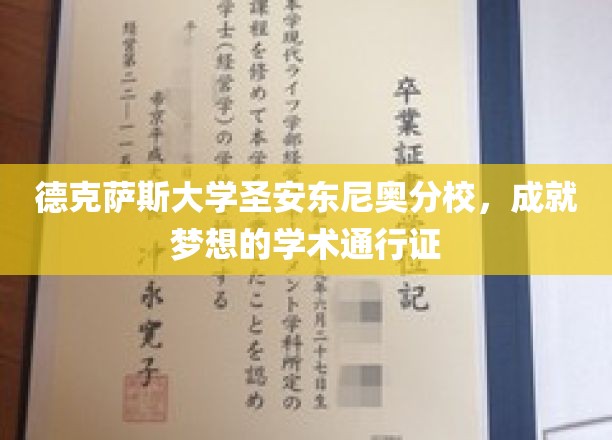 德克萨斯大学圣安东尼奥分校，成就梦想的学术通行证
