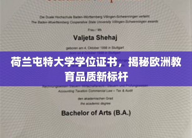 荷兰屯特大学学位证书，揭秘欧洲教育品质新标杆