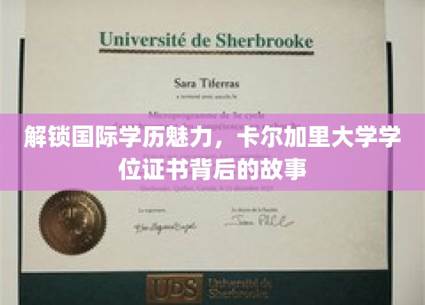 揭秘全球认可背后的传奇，卡尔加里大学学位证书的非凡旅程