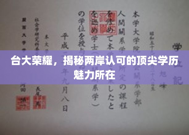 台大荣耀，两岸共认的学历魅力揭秘之旅