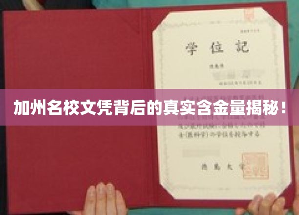 加州名校文凭背后的真实含金量揭秘！