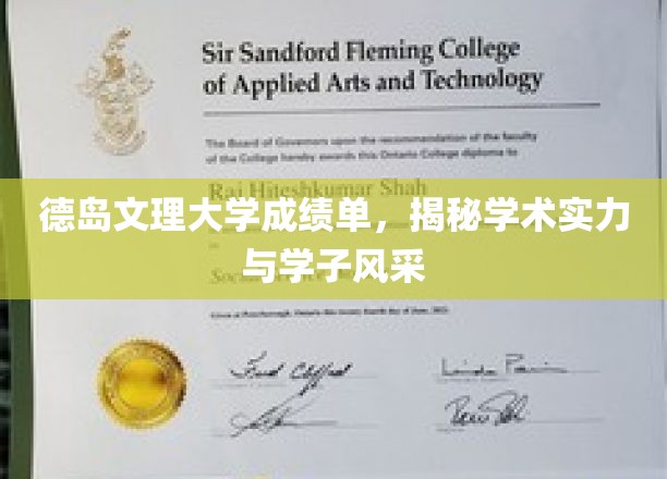 德岛文理大学成绩单，揭秘学术实力与学子风采