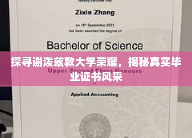 探寻谢泼兹敦大学荣耀，揭秘真实毕业证书风采