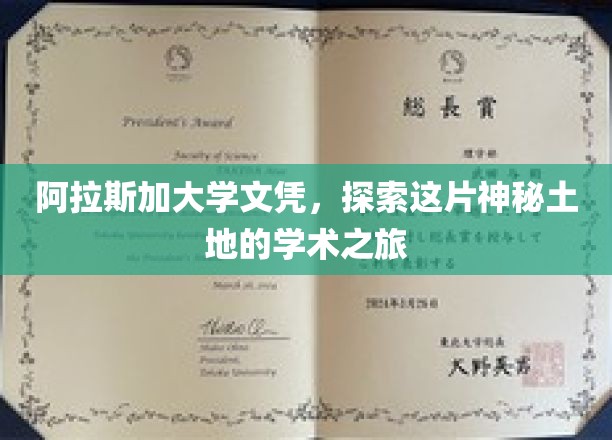 踏上阿拉斯加学术征途，解锁神秘北极圈的学位奥秘
