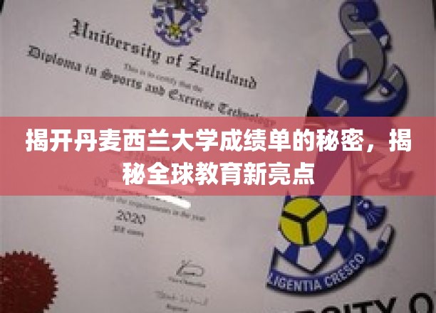 丹麦西兰大学成绩单背后的独特奥秘，引领国际教育新趋势