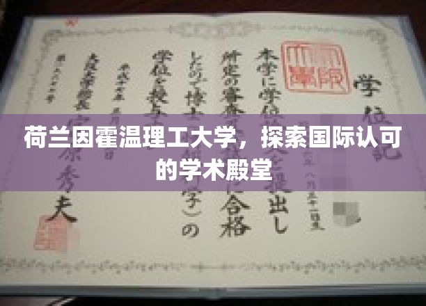 解锁荷兰顶尖学府，因霍温理工的全球学术魅力