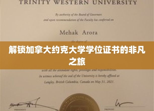 探寻约克大学学位证书背后的独特奥秘之旅
