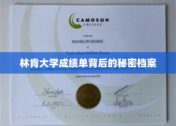 揭开林肯大学成绩单背后的神秘面纱