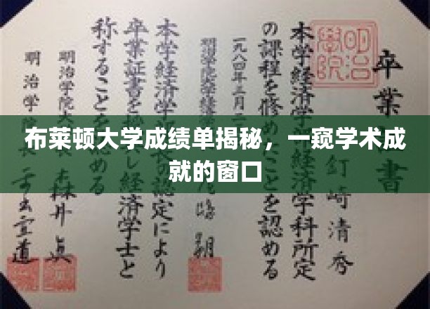 解码布莱顿大学成绩单，揭秘学术辉煌之路