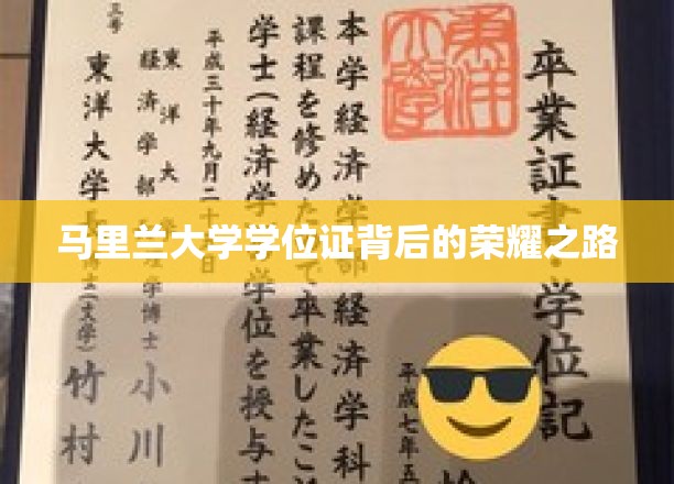 解码马里兰大学学位证，荣耀背后的奋斗轨迹