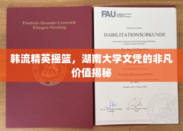 湖南大学精英培育地，揭秘韩流明星背后的学历光环