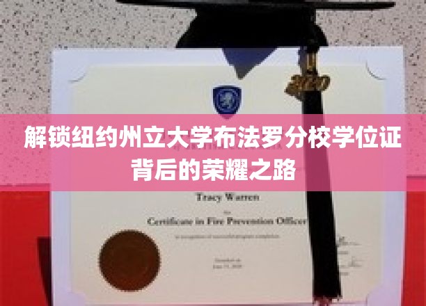 探寻纽约州立大学布法罗分校学位证书的荣耀轨迹