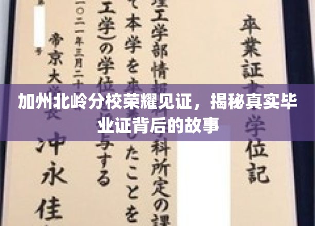 加州北岭辉煌毕业瞬间，探寻毕业证背后的传奇历程