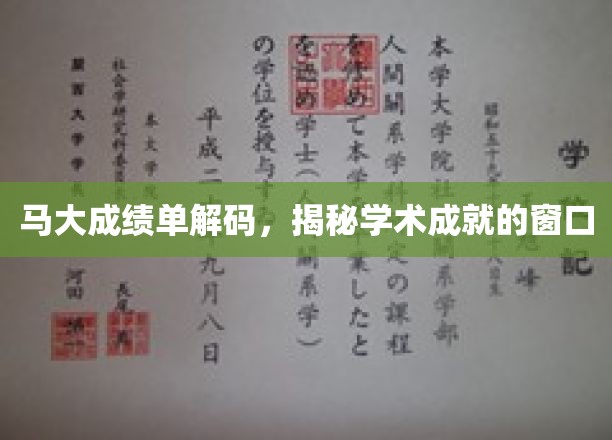 揭开马大成绩单之谜，窥探学术卓越的密码