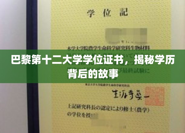 探寻巴黎第十二大学学位证书背后的传奇故事