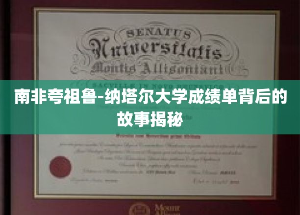 探秘南非大学，一纸成绩单背后的传奇之旅