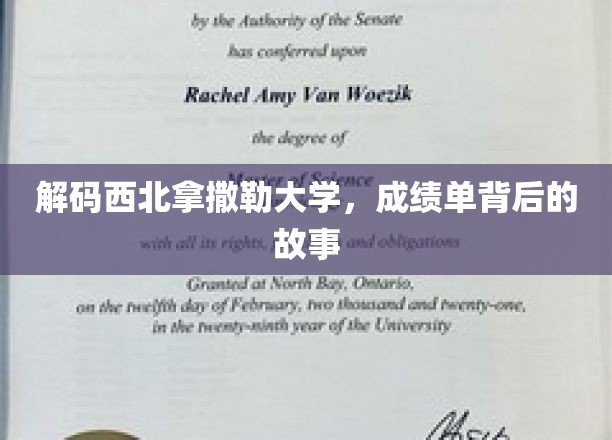 探寻西北拿撒勒大学，揭开成绩单背后的神秘面纱