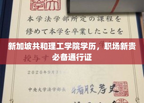 新加坡共和理工学院学历，职场新贵必备通行证