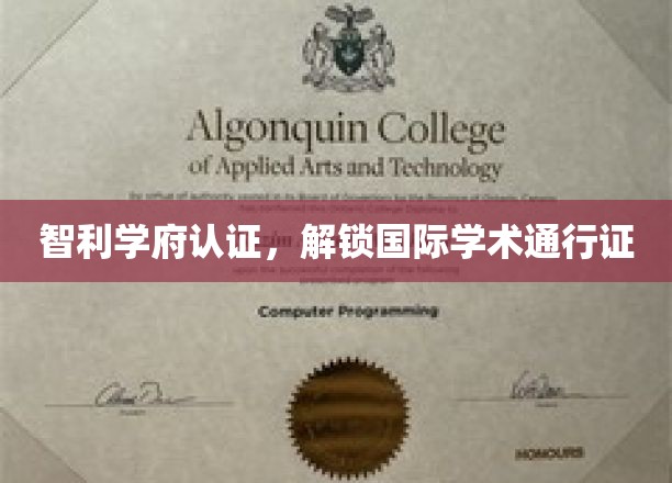 智利学府权威认证，助你一跃成为国际学术精英