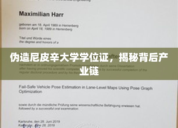 伪造学位证风波，尼皮辛大学毕业生背后的黑色产业链全解析