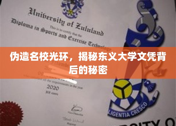 东义大学文凭迷雾，名校光环下的真相探寻