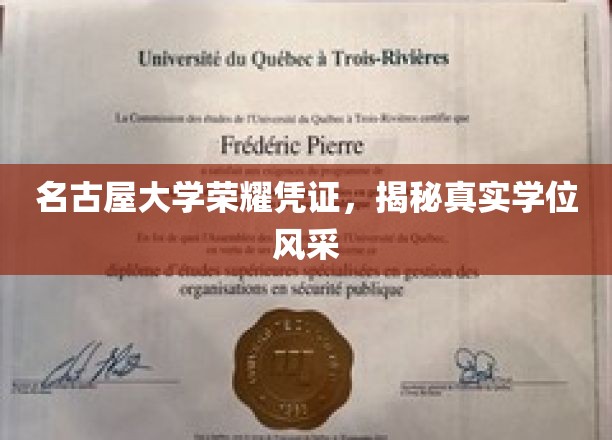 名古屋大学学位魅力大揭秘，荣耀凭证背后的真实风采