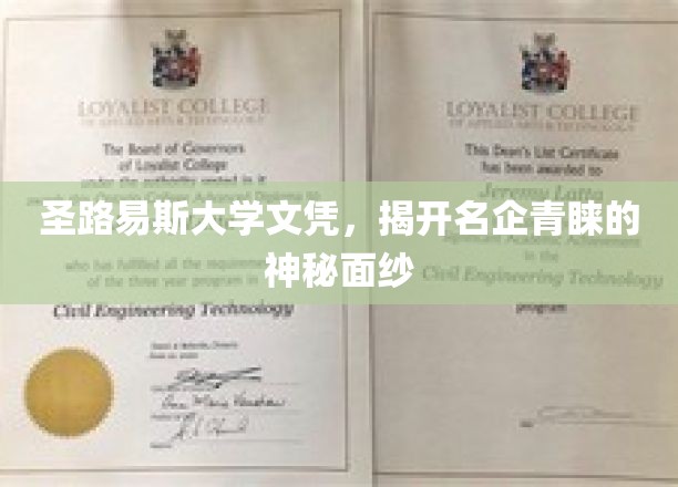 圣路易斯大学文凭，揭秘名企热捧的精英摇篮