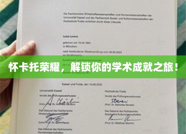 怀卡托荣耀，解锁你的学术成就之旅！