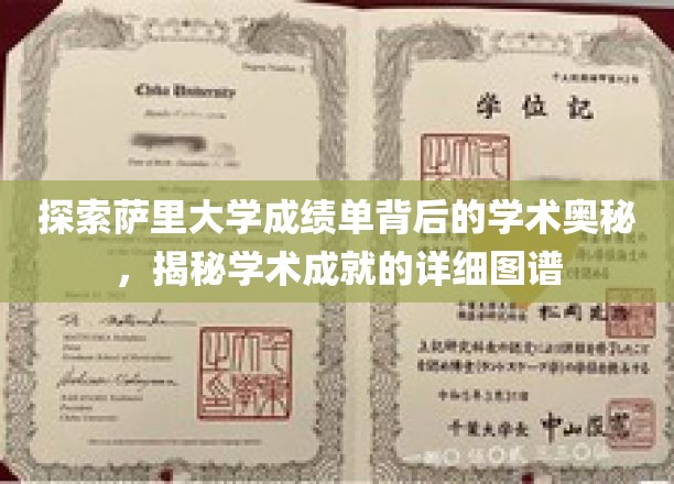 解码萨里大学成绩单，揭秘学术成就的秘密地图