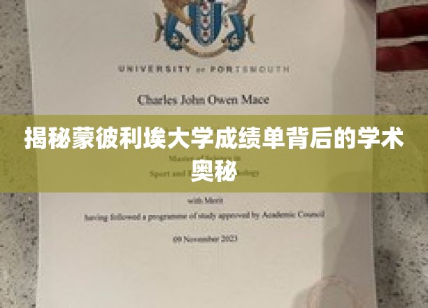 解码蒙彼利埃大学成绩单，探索学术成就的深层秘密